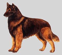 �����Ƒ��Ɍ}����O��